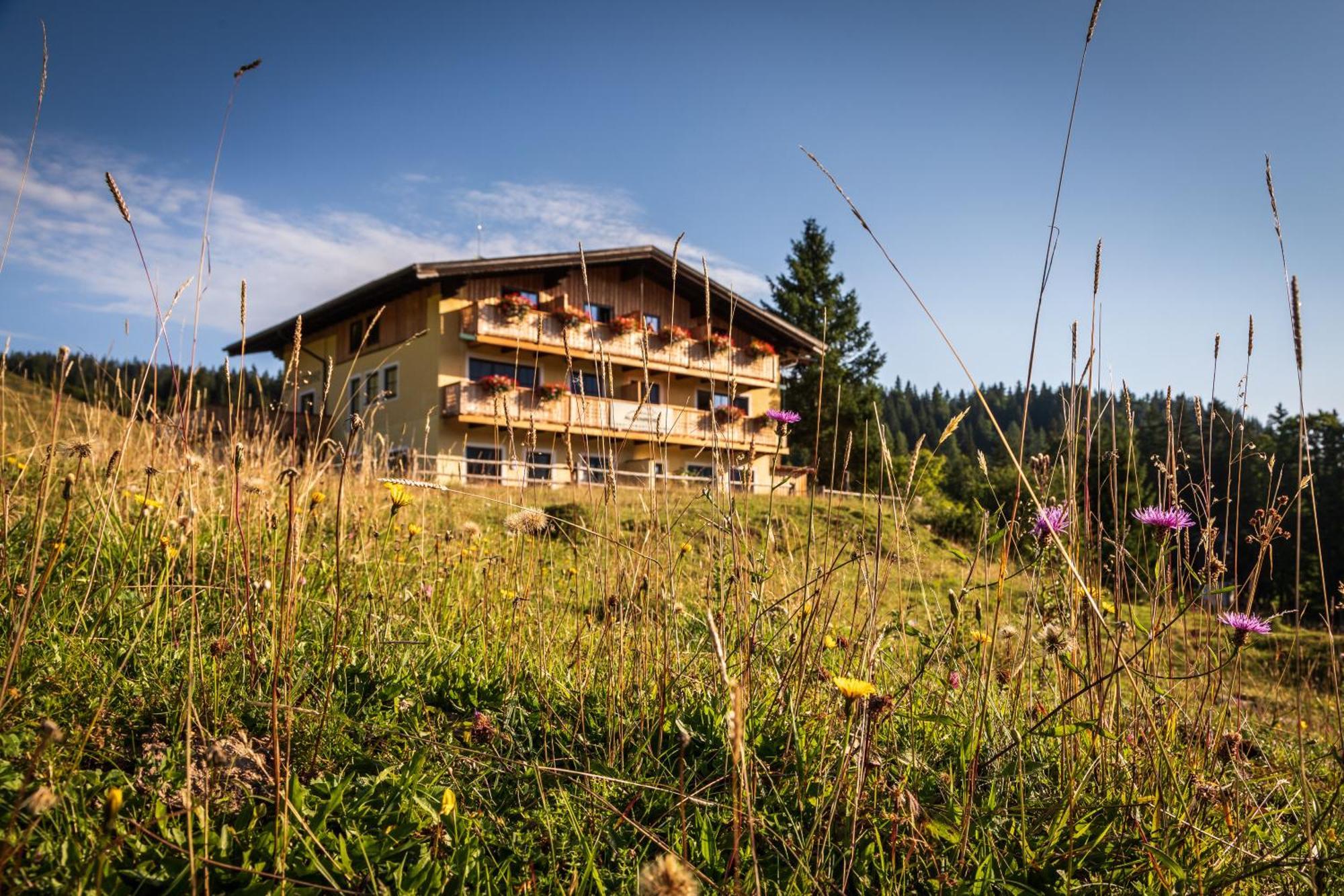 Almhaus Alpenrose Seidegg