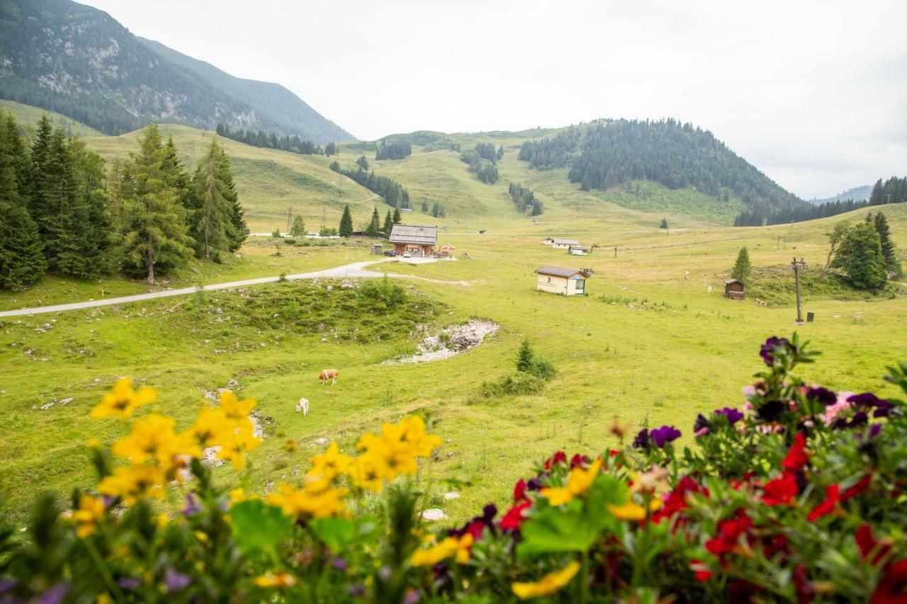 Almhaus Alpenrose Seidegg