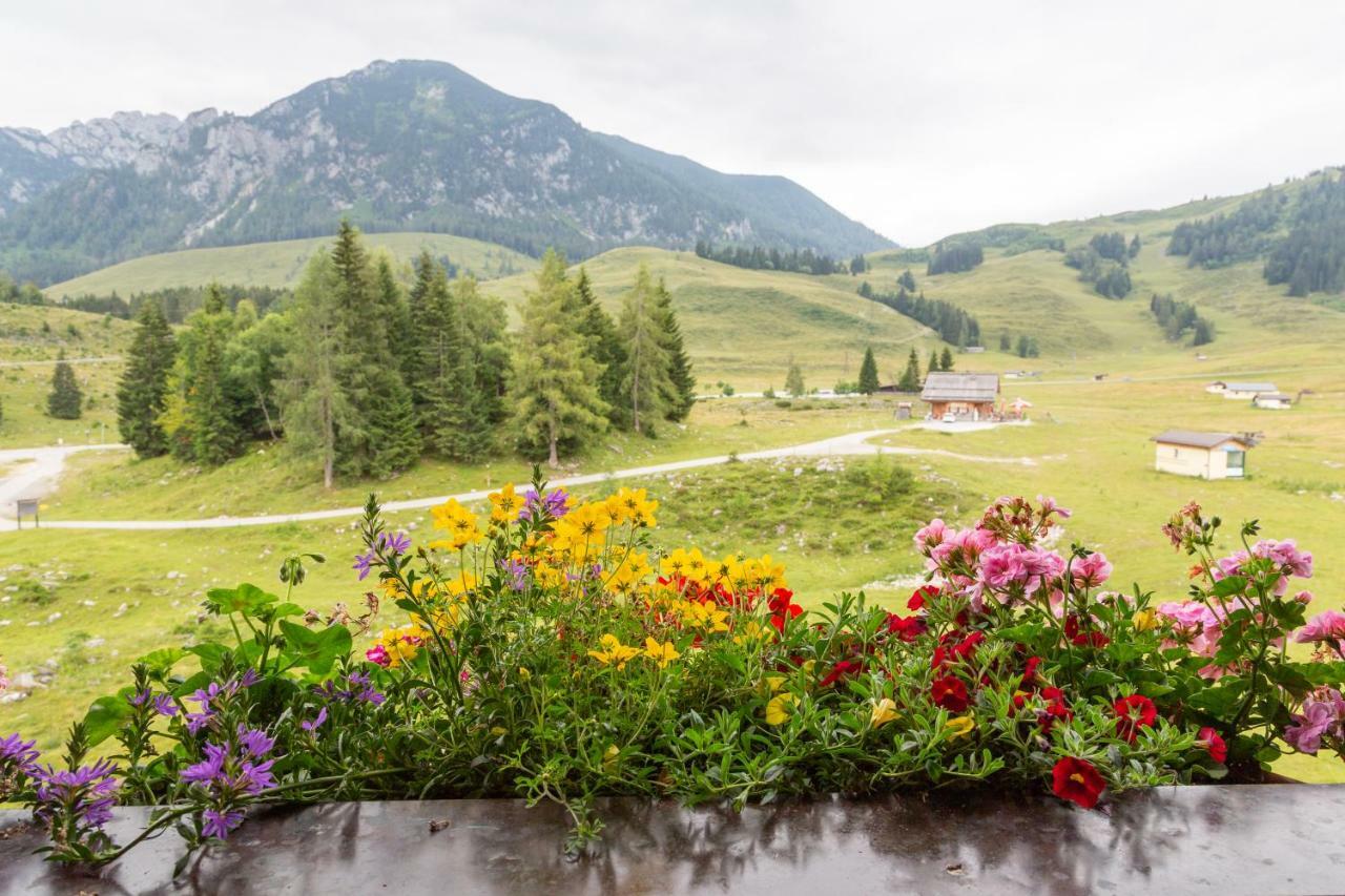 Almhaus Alpenrose Lodge *